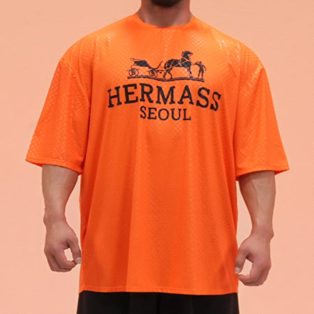 HERMASS Overfit