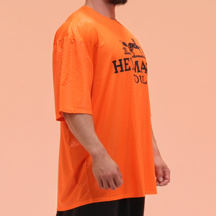 HERMASS Overfit