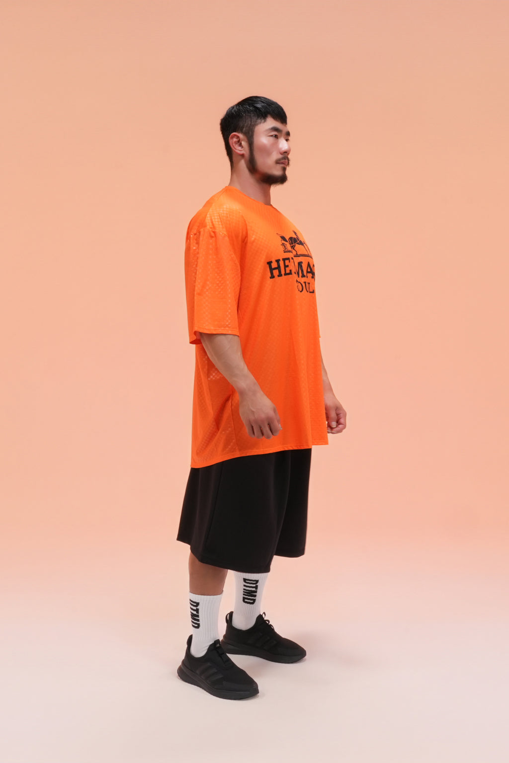 HERMASS Overfit