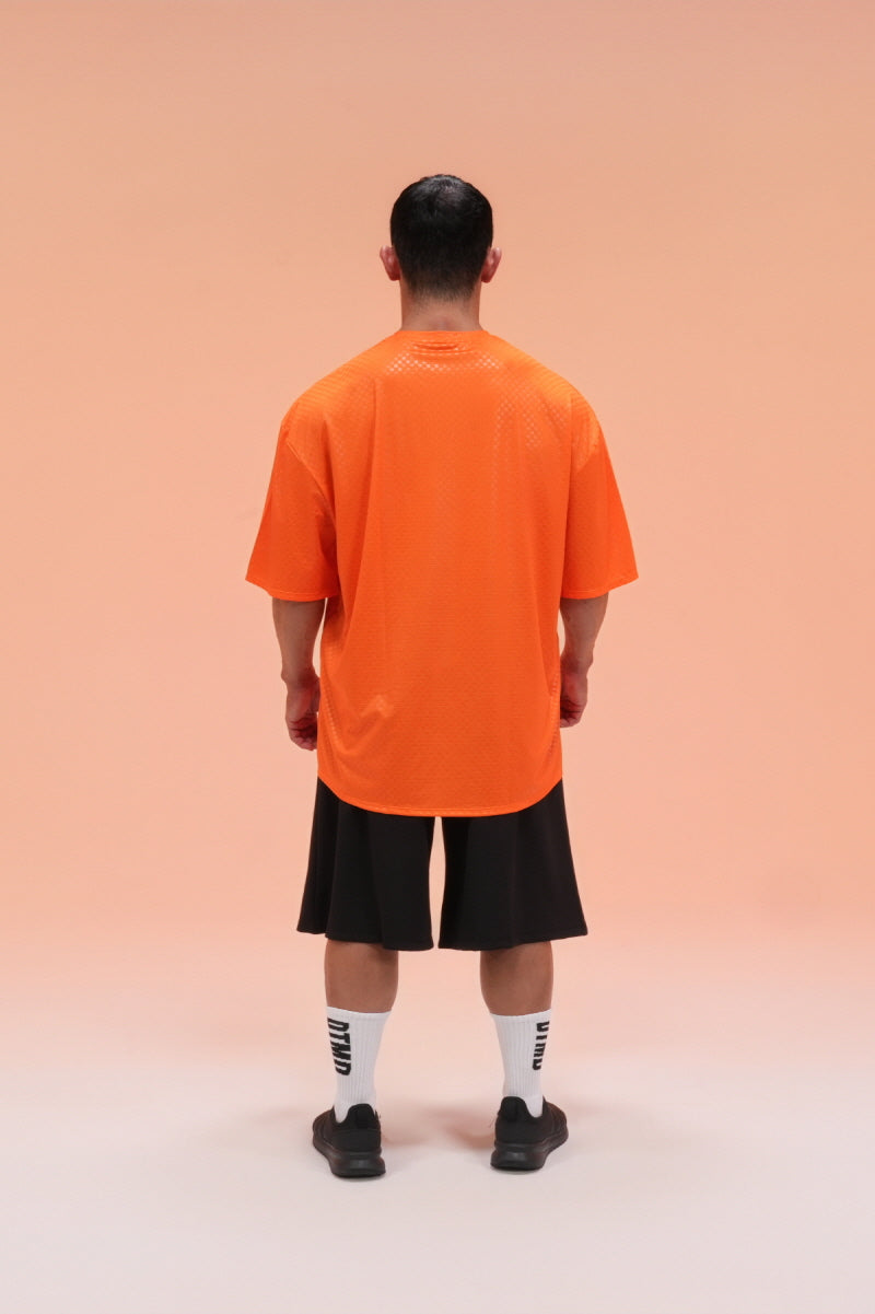 HERMASS Overfit