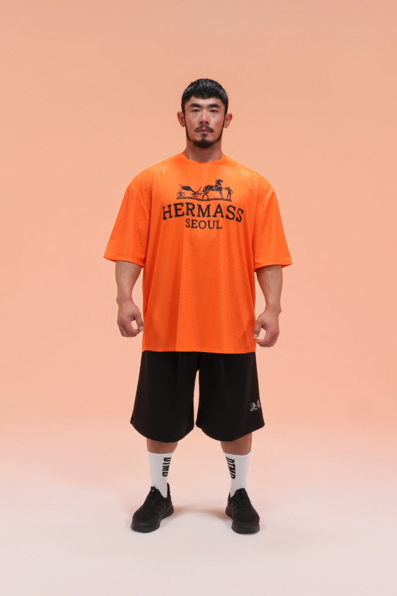 HERMASS Overfit