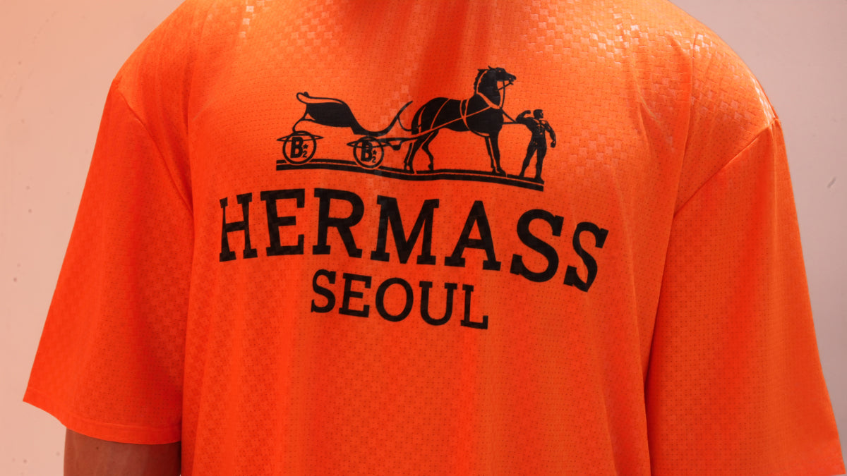 HERMASS Overfit